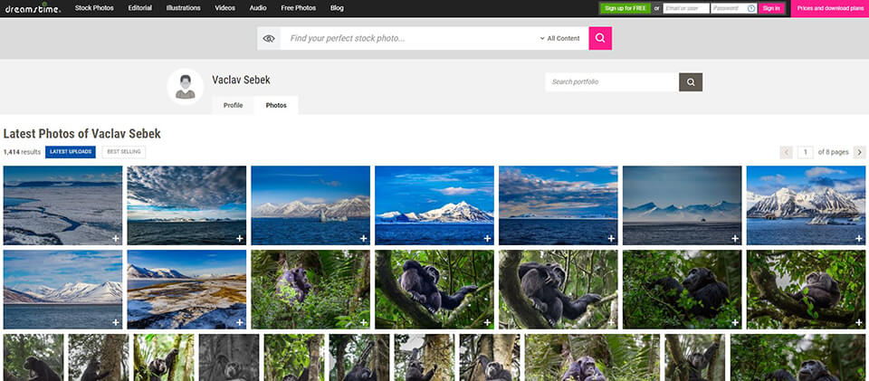 dreamstime contributor