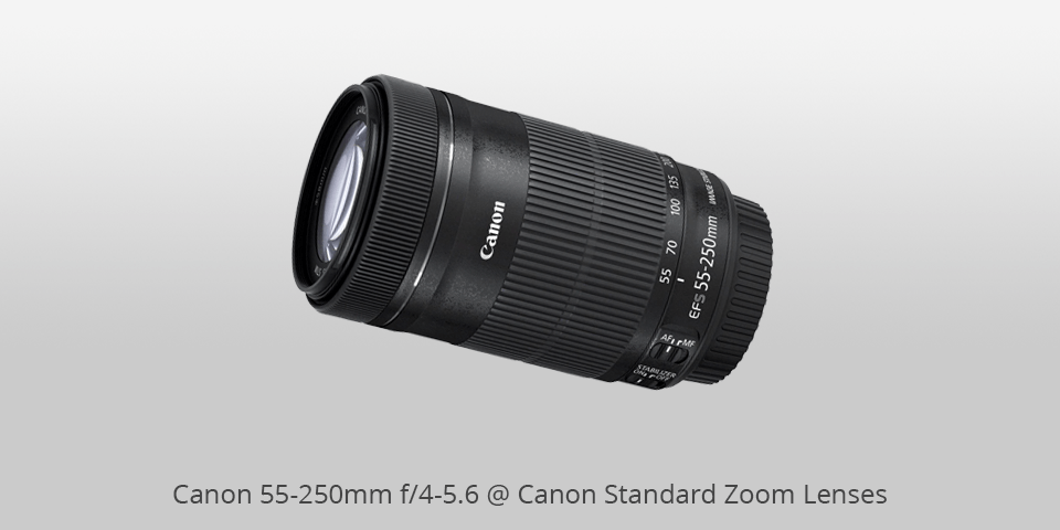 canon fixed zoom lens