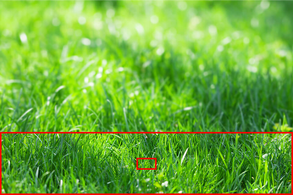 focus and depth of field