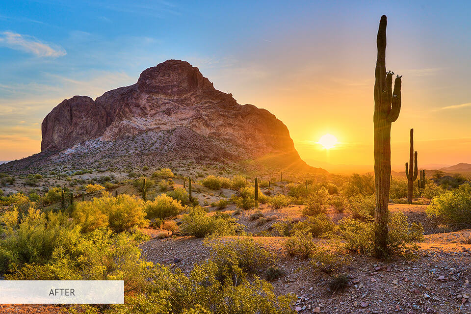 free capture one torrent landscape style