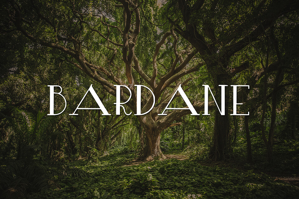 free illustrator bardane font