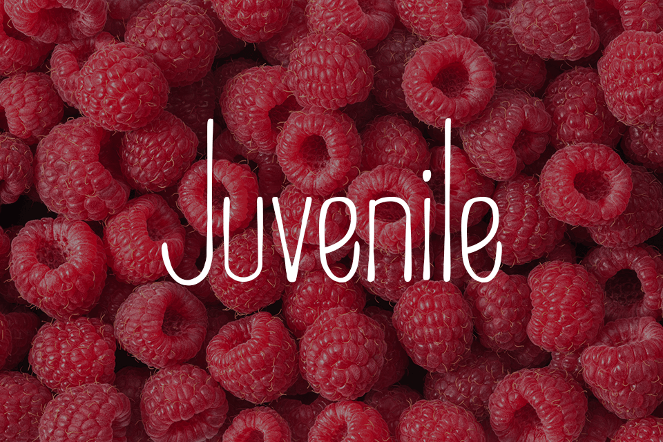 free illustrator juvenile font