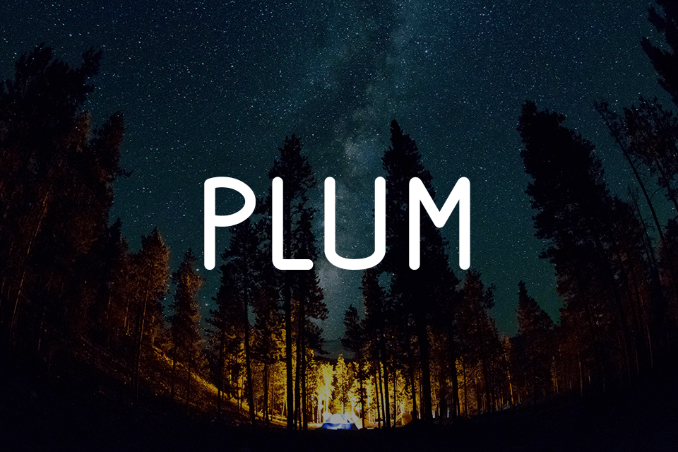 free illustrator plum font