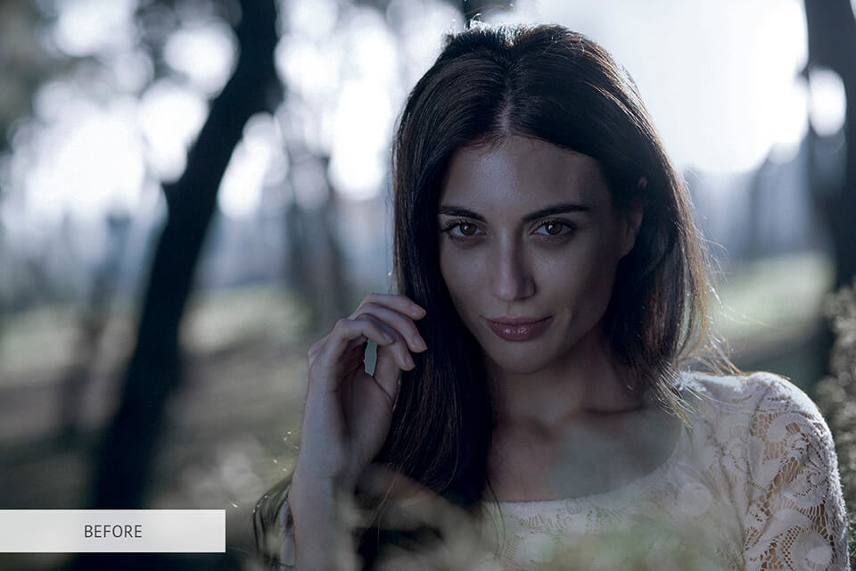 free lightroom preset nature for headshot photography