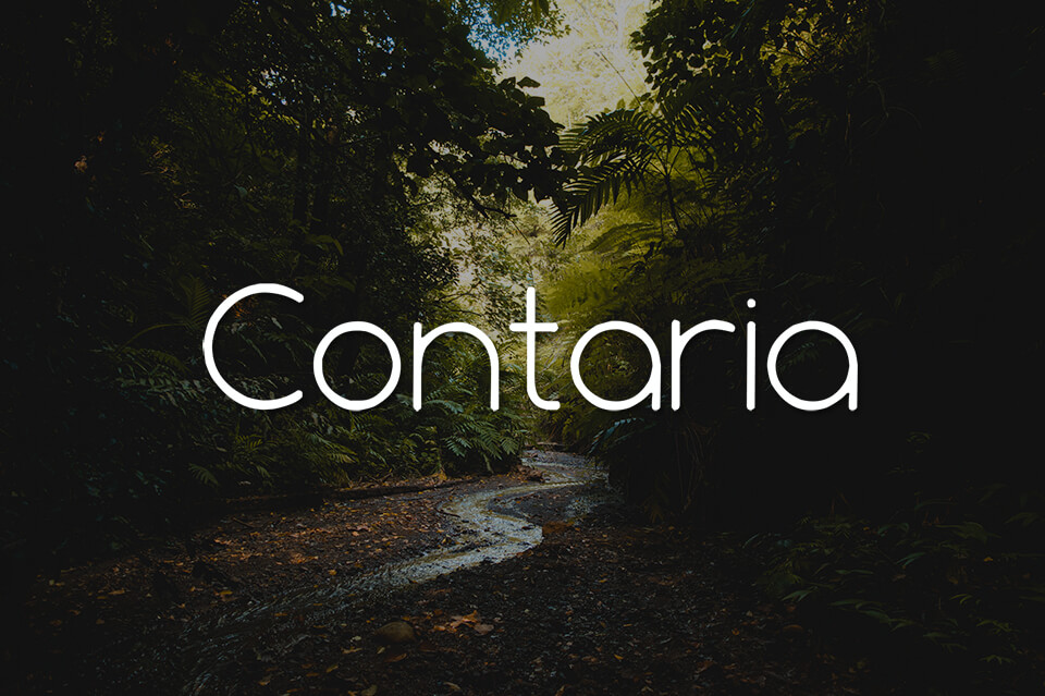 angebot für illustrator contaria