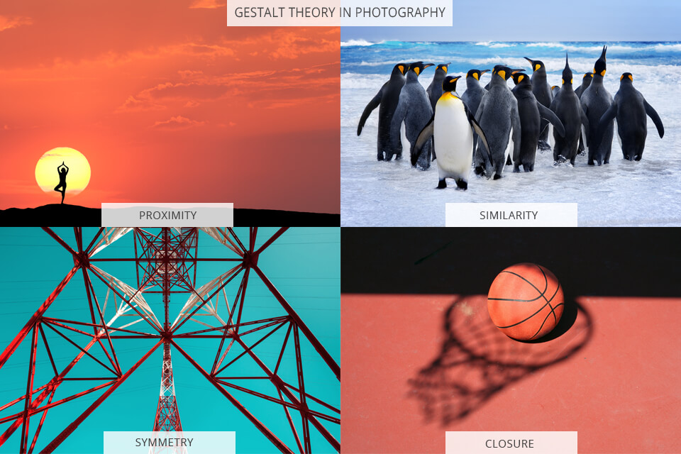 gestalt theory in aesthetic photography