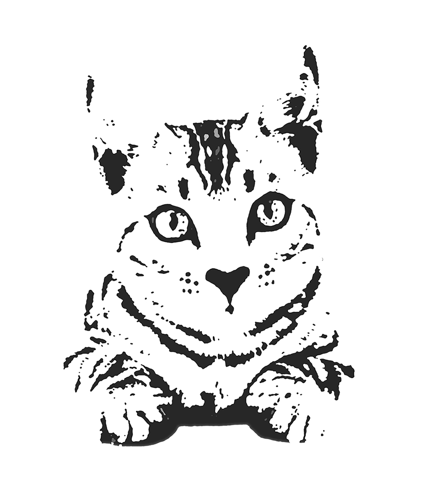 how to make a stencil from a photo in illustrator