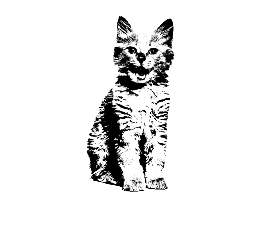 how to make a stencil from a picture in word