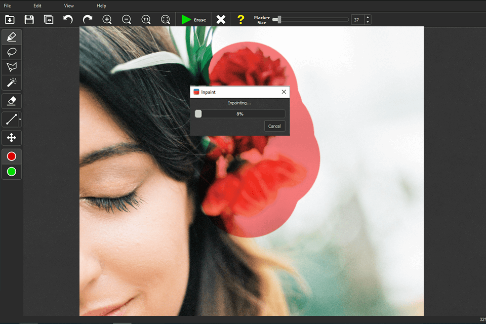 inpaint software for photo stamp remover interface