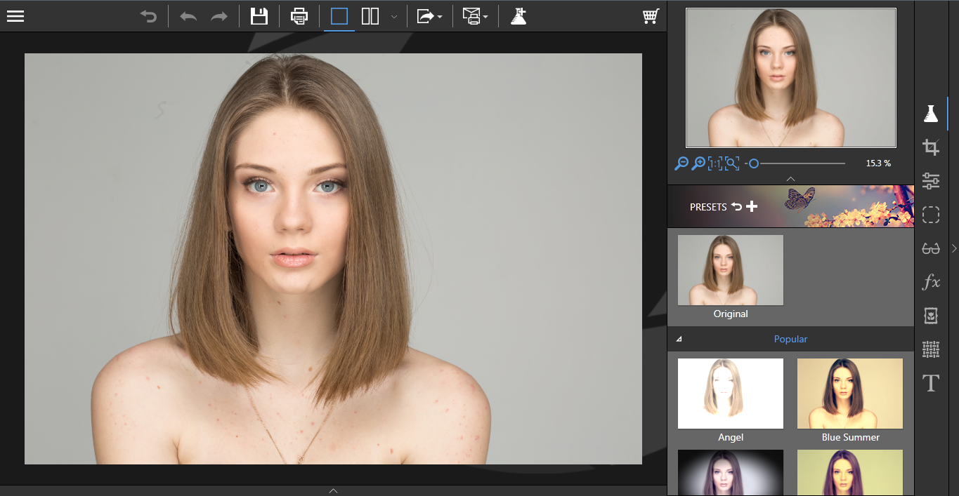 interface vom starten des inpixio photo editors