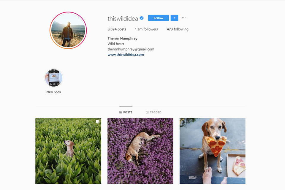 instagram for photographers