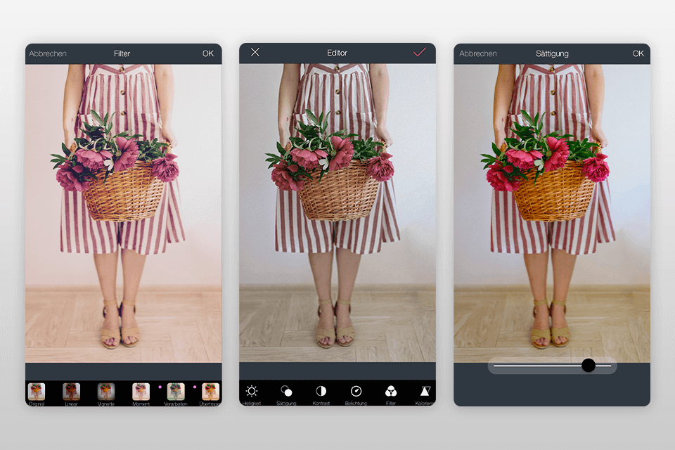 interface von inpixio photo editor mobile