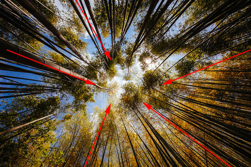 leading line converging