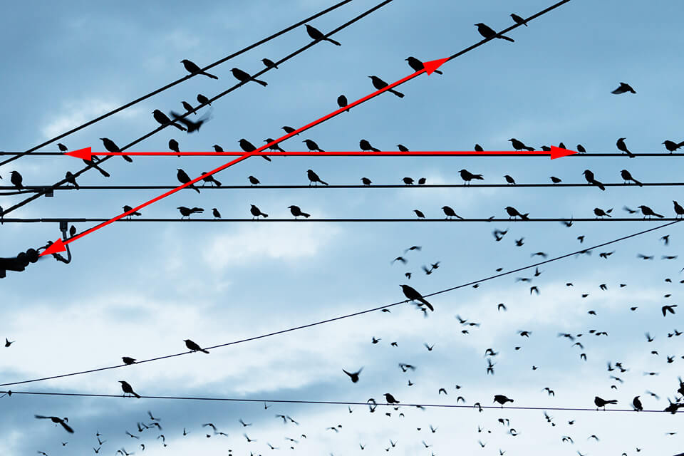 leading line intersecting