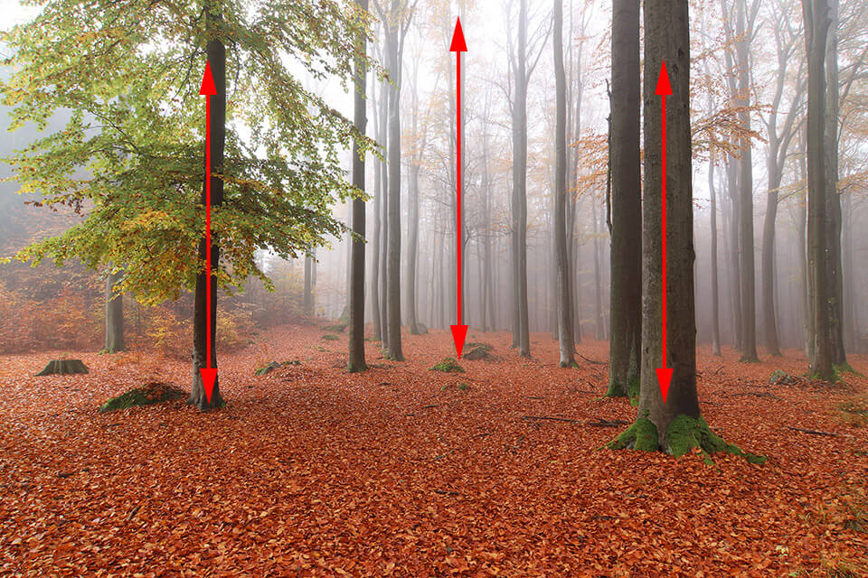 leading line vertical