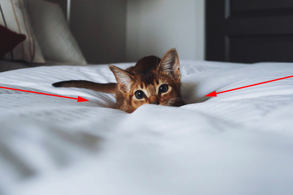 leading lines photography ideas linens