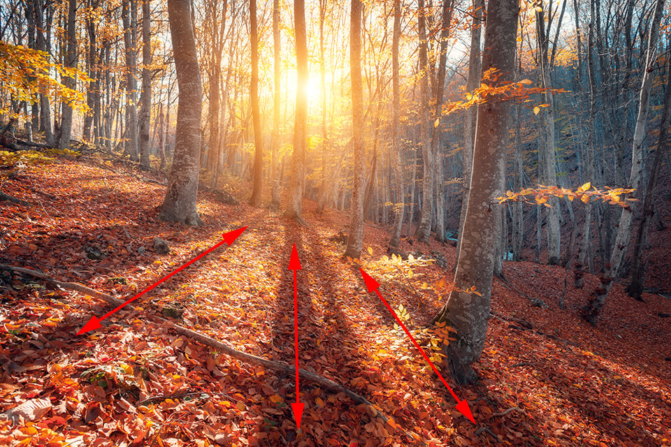 leading lines shadows