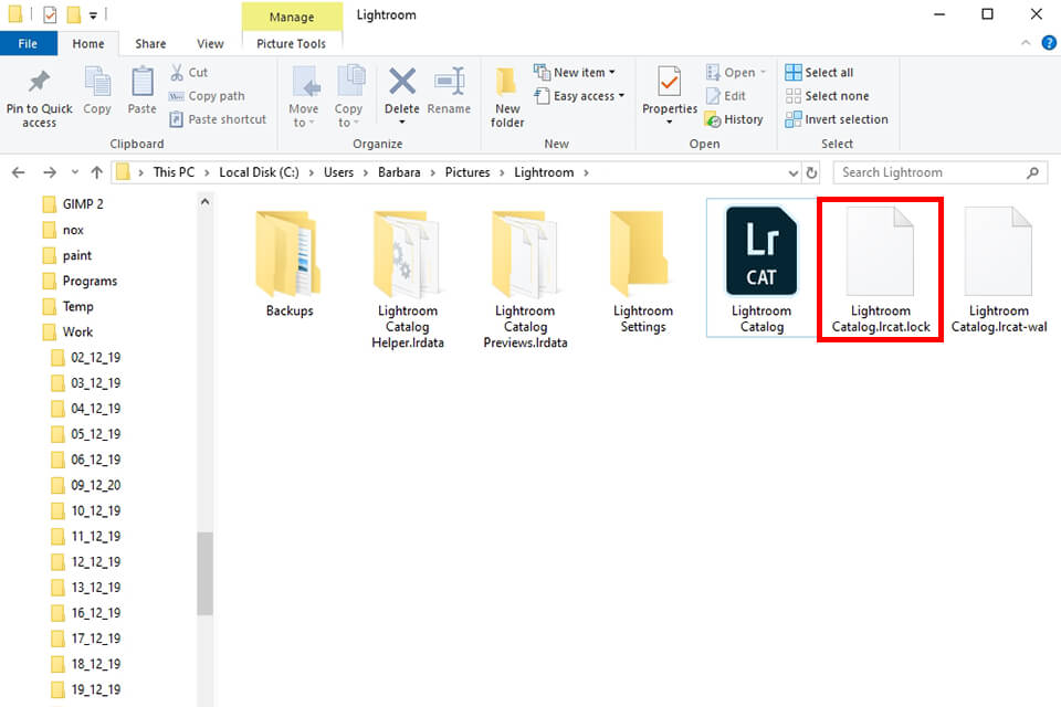 lightroom catalog lock file delete