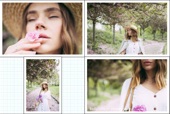 lightroom print zoom photo inside cell