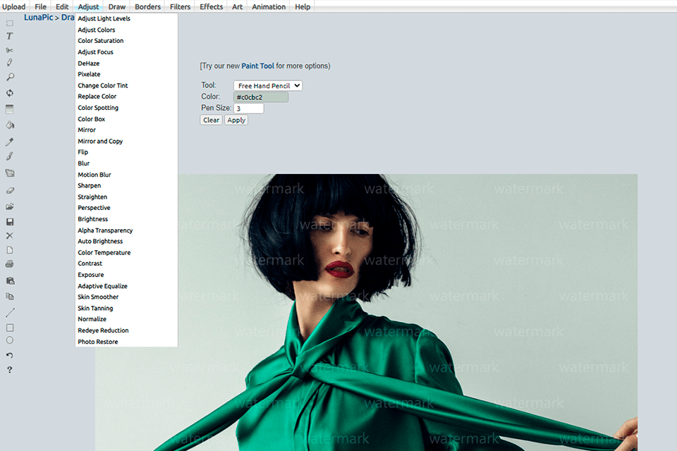 interfaz de software de eliminación de marca de agua lunapic