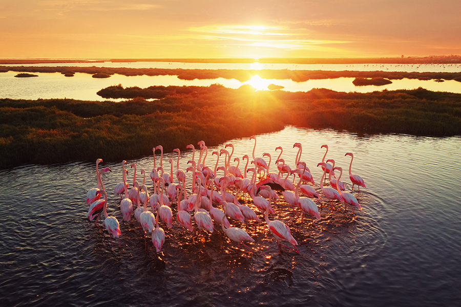 nature photography