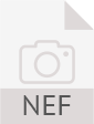 nef file logo