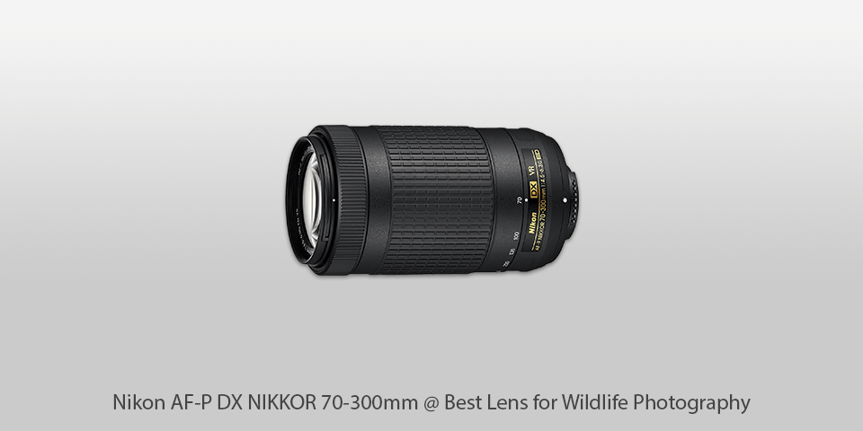 camera lenses for nature photography