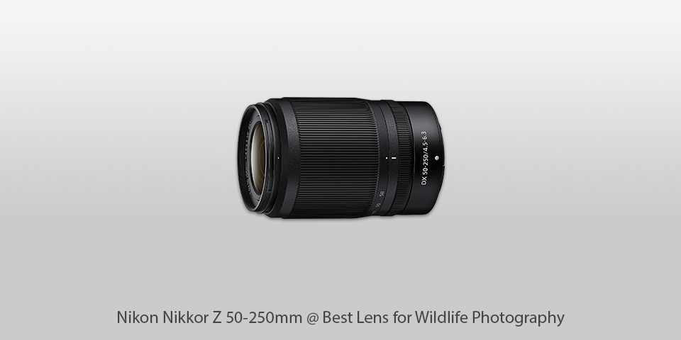 lens for outdoor photography