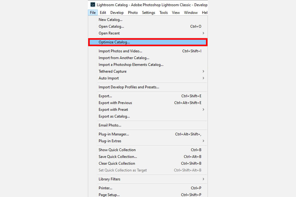 optimize lightroom for maximum performance