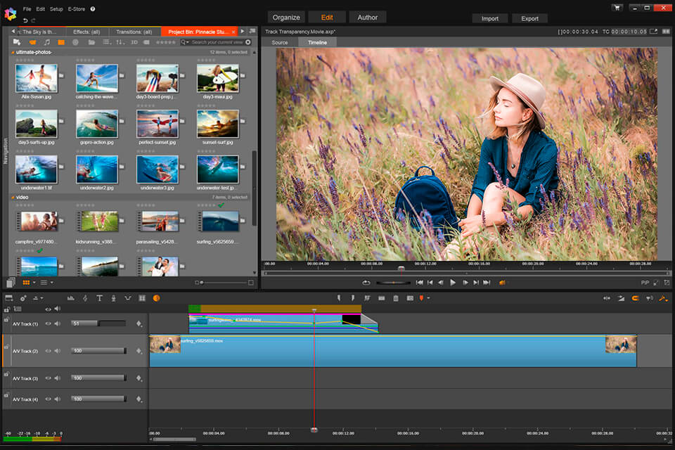 pinnacle studio free interface