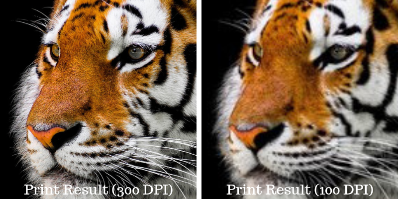 print photo results dpi