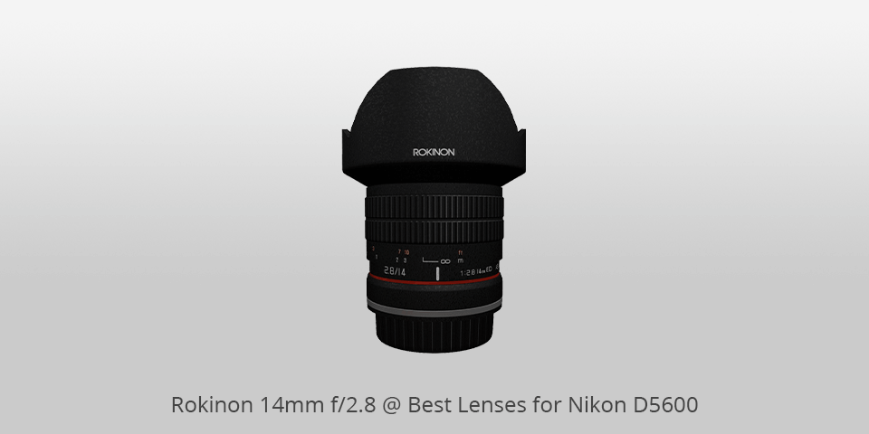 Nikon d5600 lenses