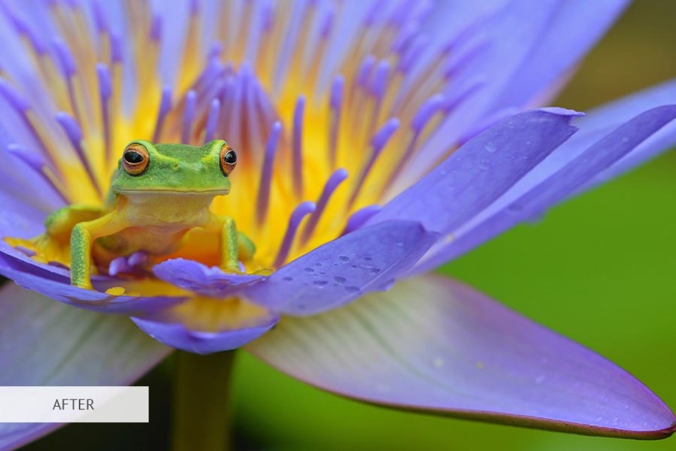rule of thirds examples before and after