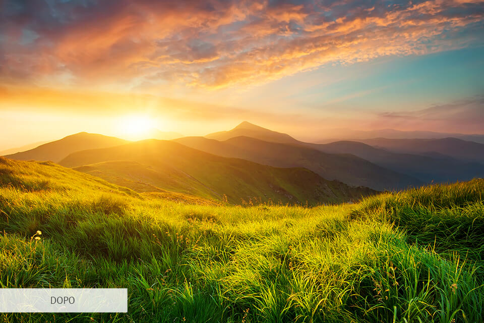 scarica gratis after effects pacchetto lut cinematografici