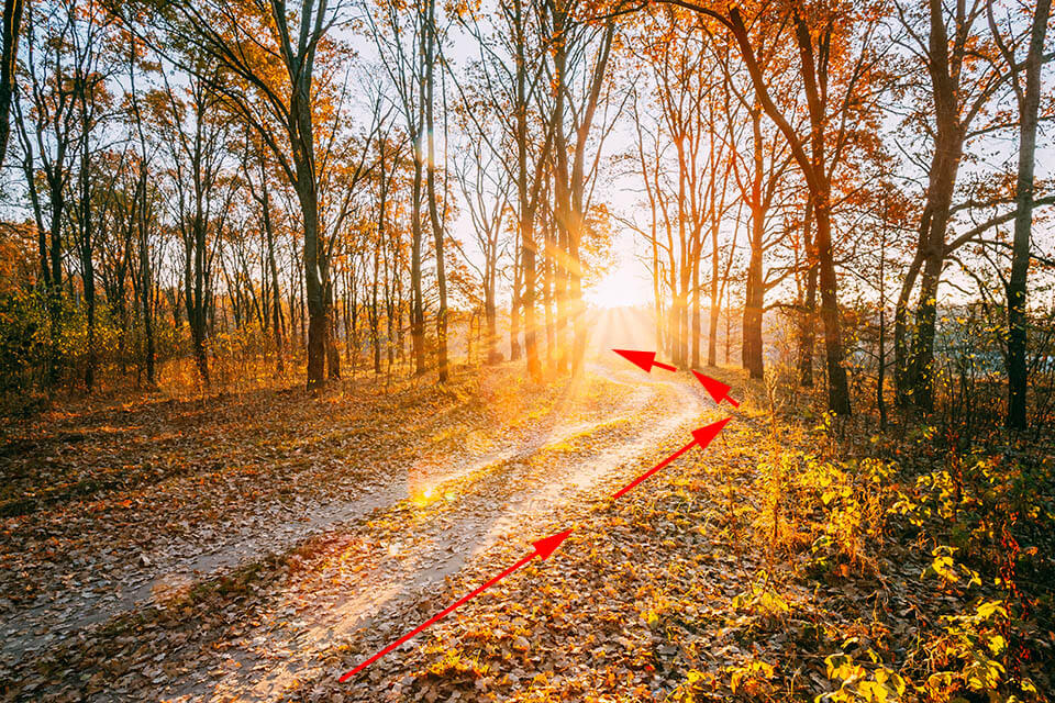 shadows as leading lines