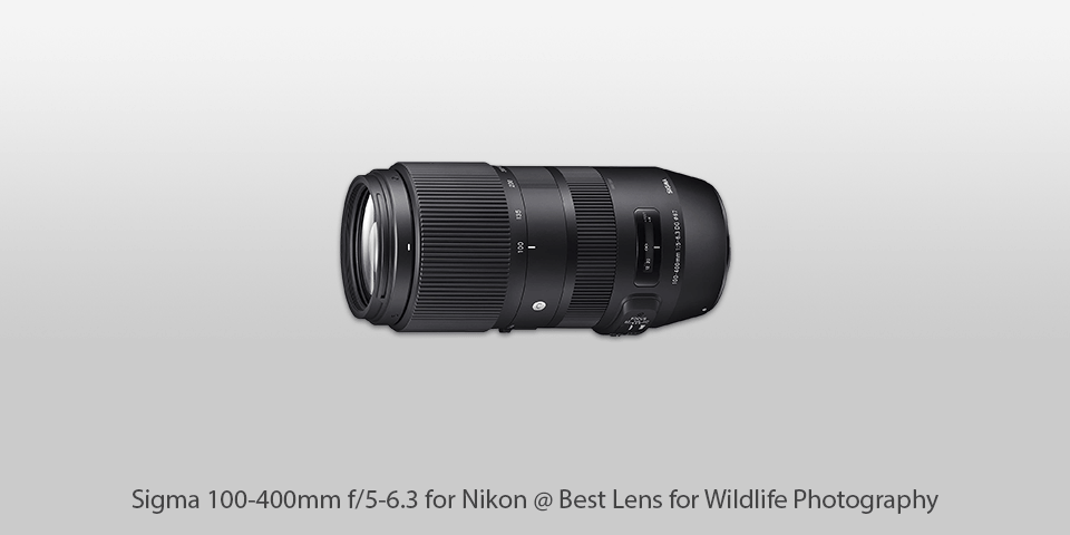 camera lens for wildlife photography