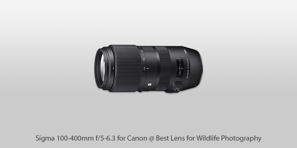 400mm lenses