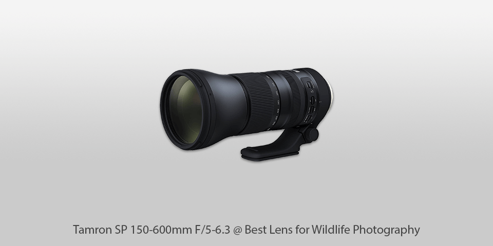 wildlife camera lens