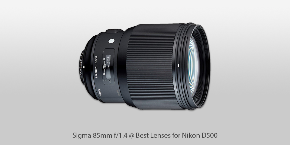 sigma 85 mm lenses