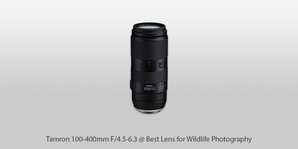 best lens for wildlife photography