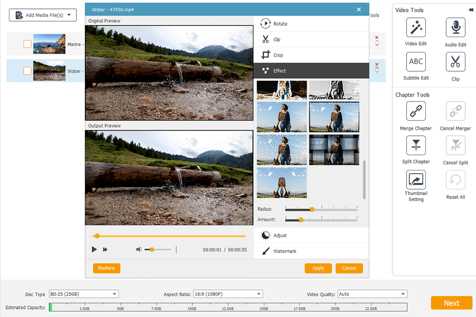 vidpaw burnanydvd output parameters