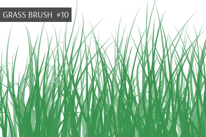 download brush grass photoshop cs3