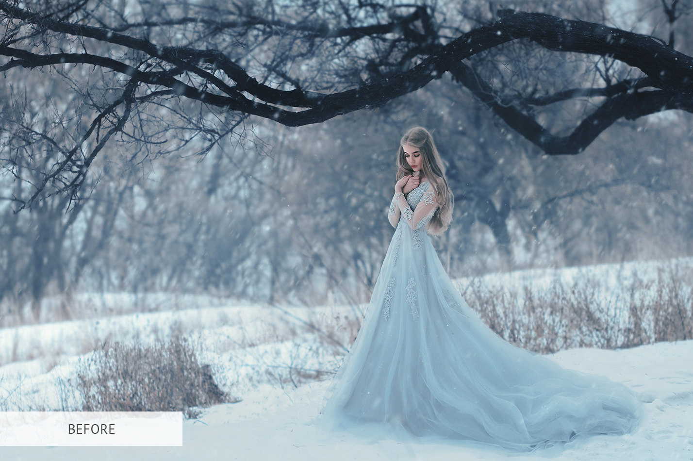 Photoshop Frost Overlay Bundle Includes 10 Free Frost Overlays