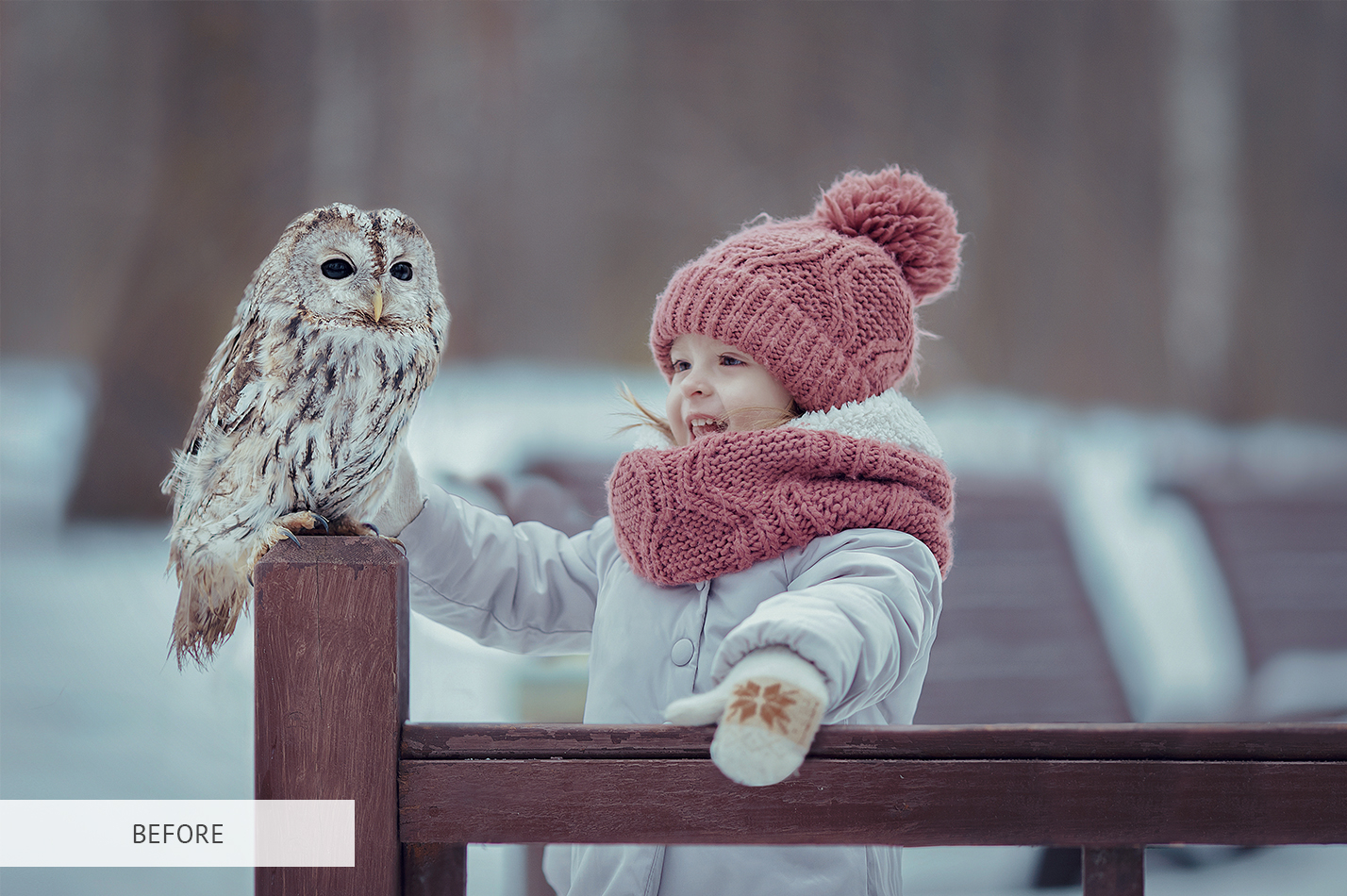 Photoshop Frost Overlay Bundle Includes 10 Free Frost Overlays