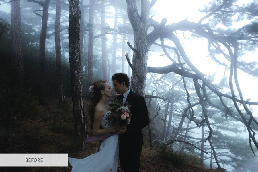 best photoshop plugins for wedding photographers free download