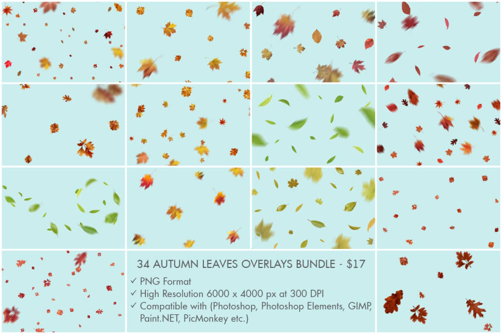 Leaves Overlay FreeFalling Leaves Overlay for Free