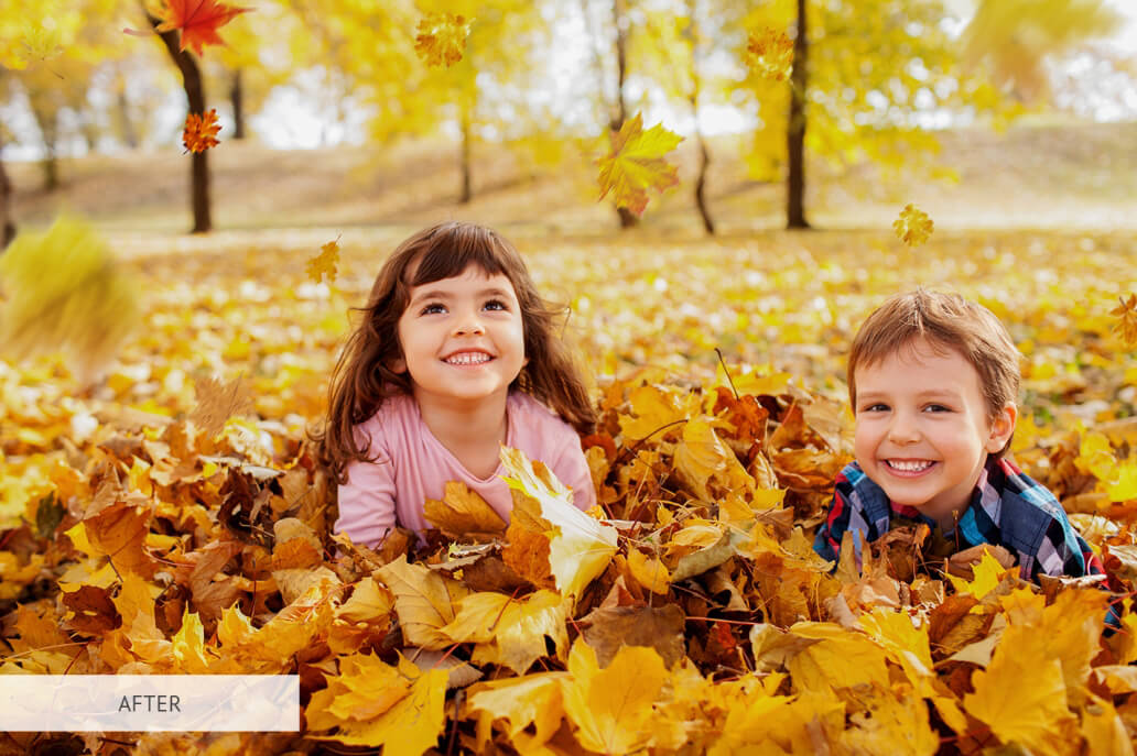 Leaves Overlay FreeFalling Leaves Overlay for Free