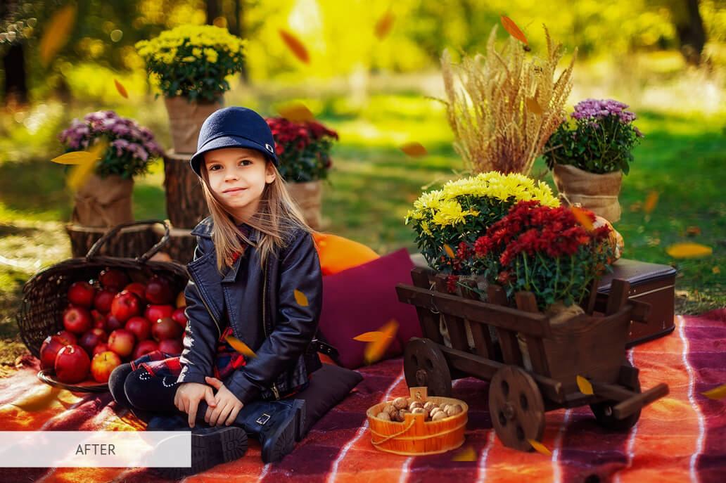 Leaves Overlay FreeFalling Leaves Overlay for Free