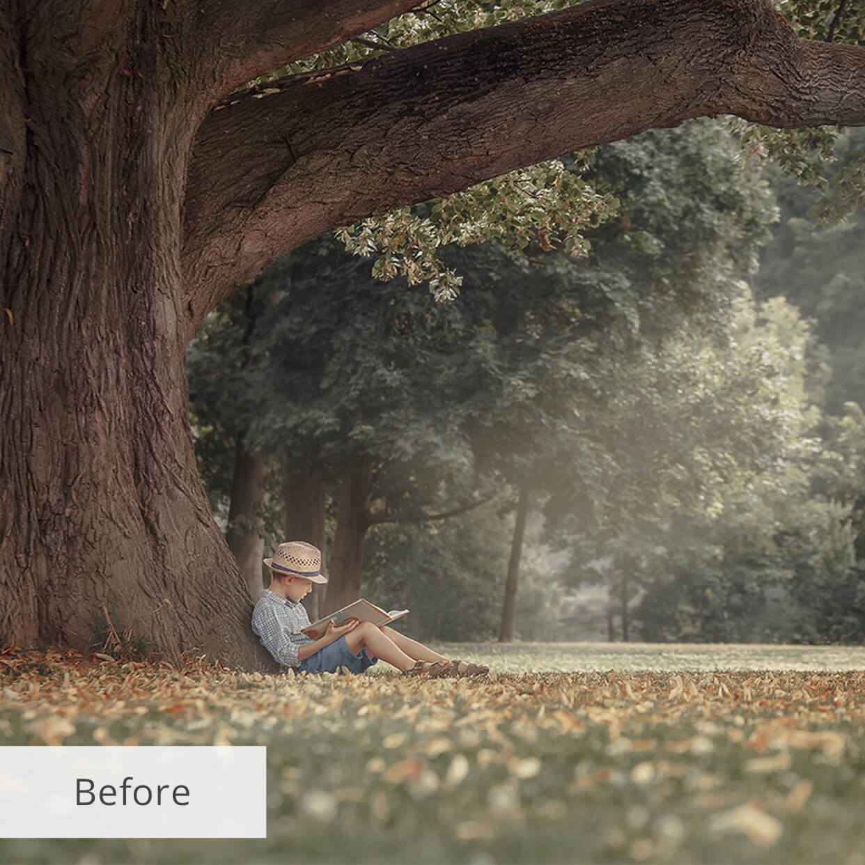 A Set of Free Autumn Lightroom Presets10 Fall Lightroom Presets Free