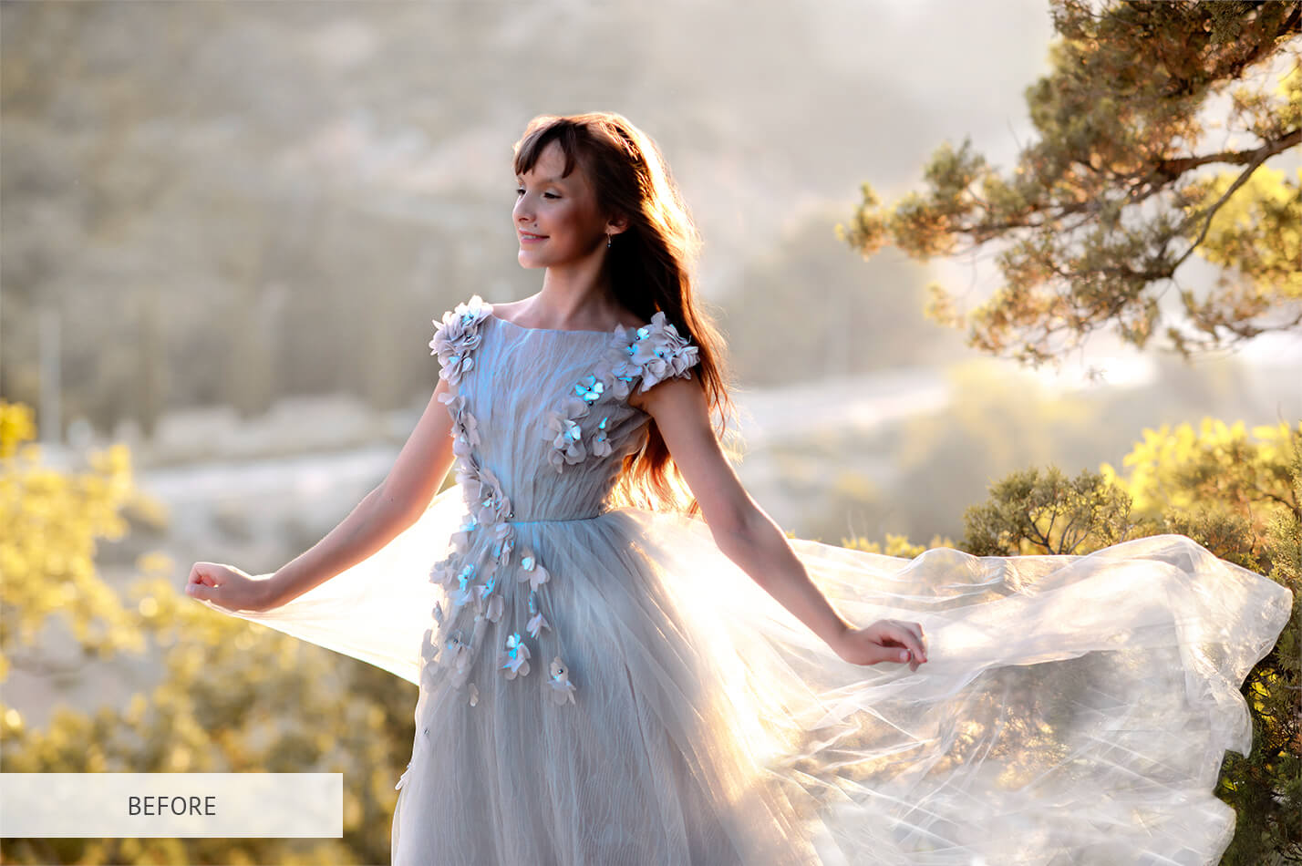 Free Sparkle Overlay Free Sparkle Overlays